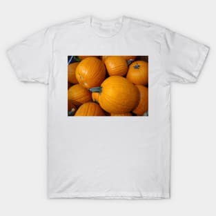 Pumpkins T-Shirt